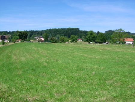 terrain