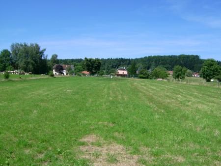 terrrain