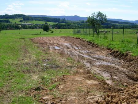 terrain